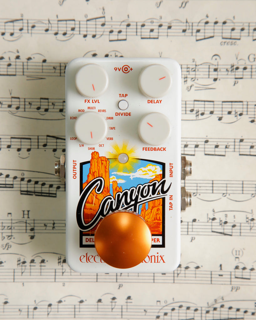 Electro-Harmonix Canyon Delay & Looper Pedal Pre-Owned