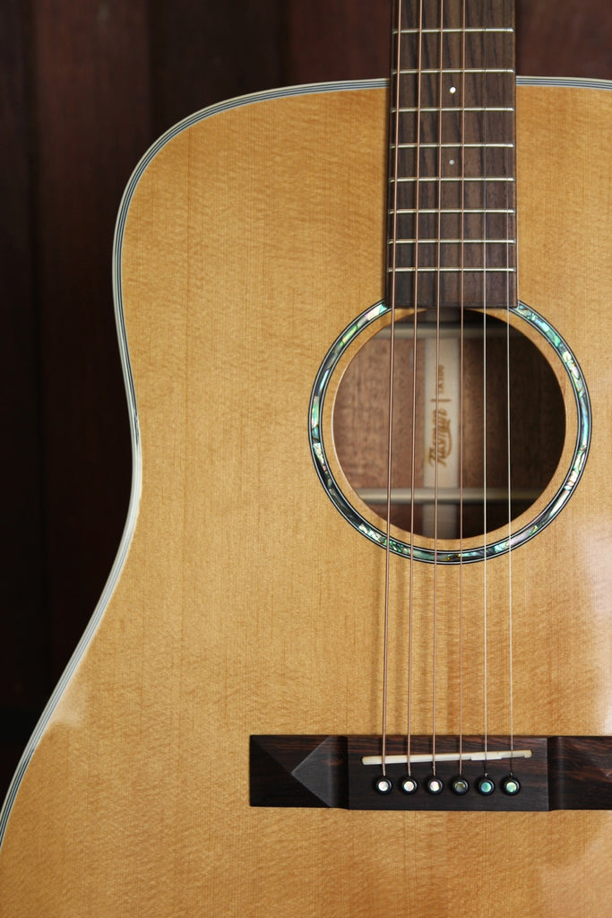 Tasman TA100 Acoustic Guitar with Case
