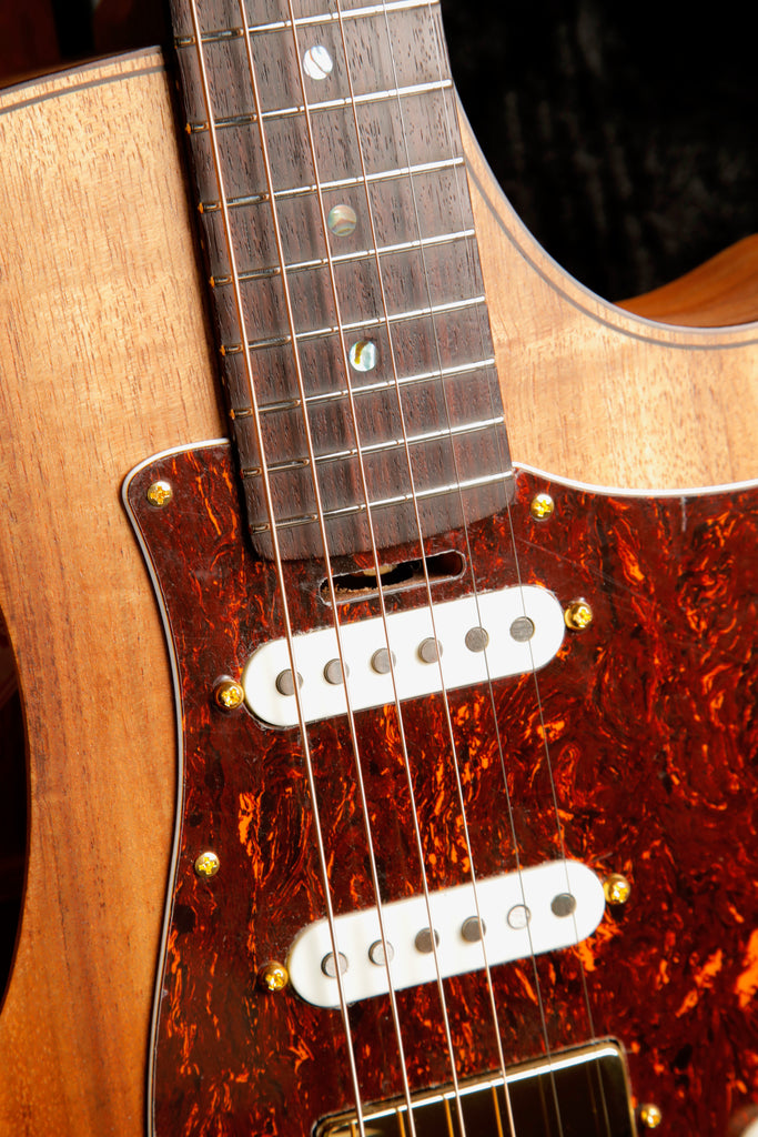 Cole Clark TL2EC-BLBLR-HSS Blackwood/Blackwood Dual-Output Guitar