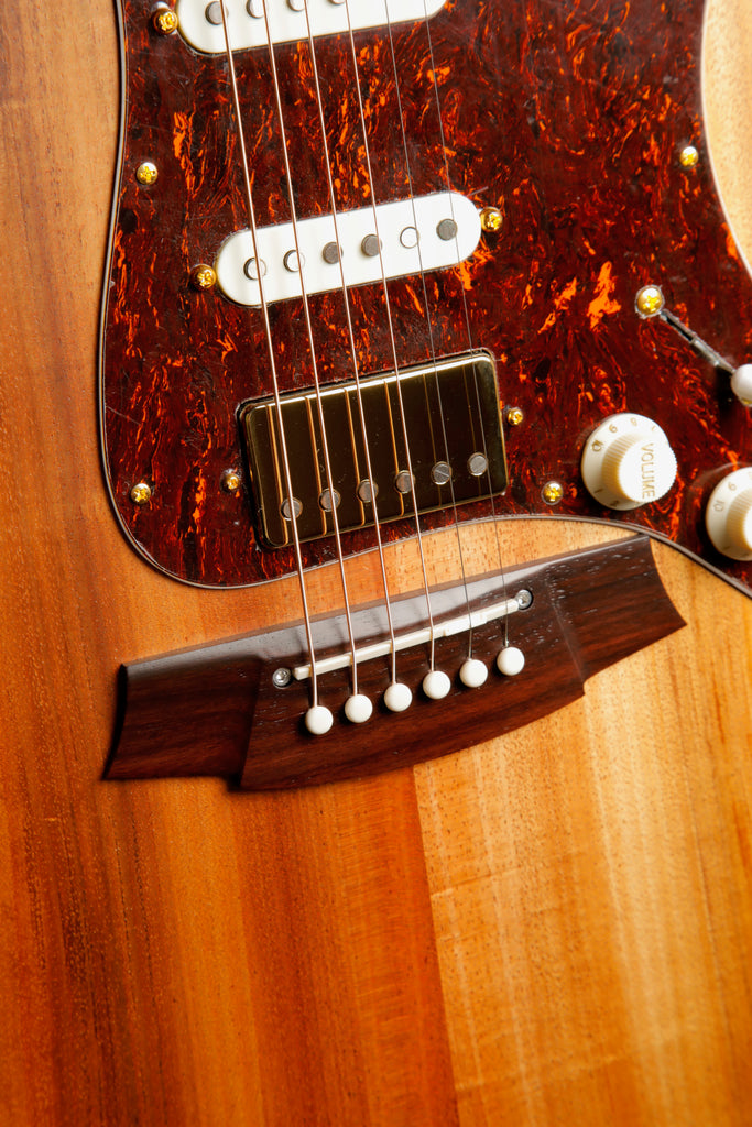 Cole Clark TL2EC-BLBLR-HSS Blackwood/Blackwood Dual-Output Guitar
