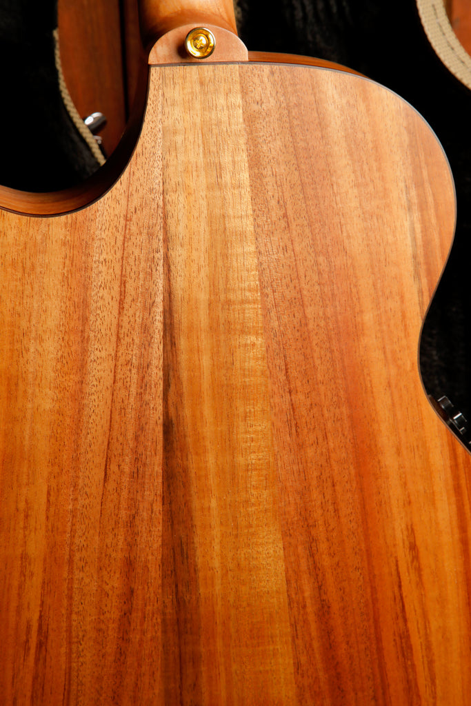 Cole Clark TL2EC-BLBLR-HSS Blackwood/Blackwood Dual-Output Guitar