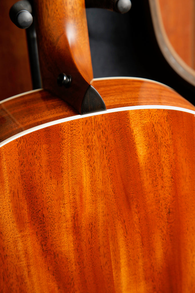 Taylor Gold Label 517e Blacktop Spruce / Mahogany Acoustic-Electric Guitar