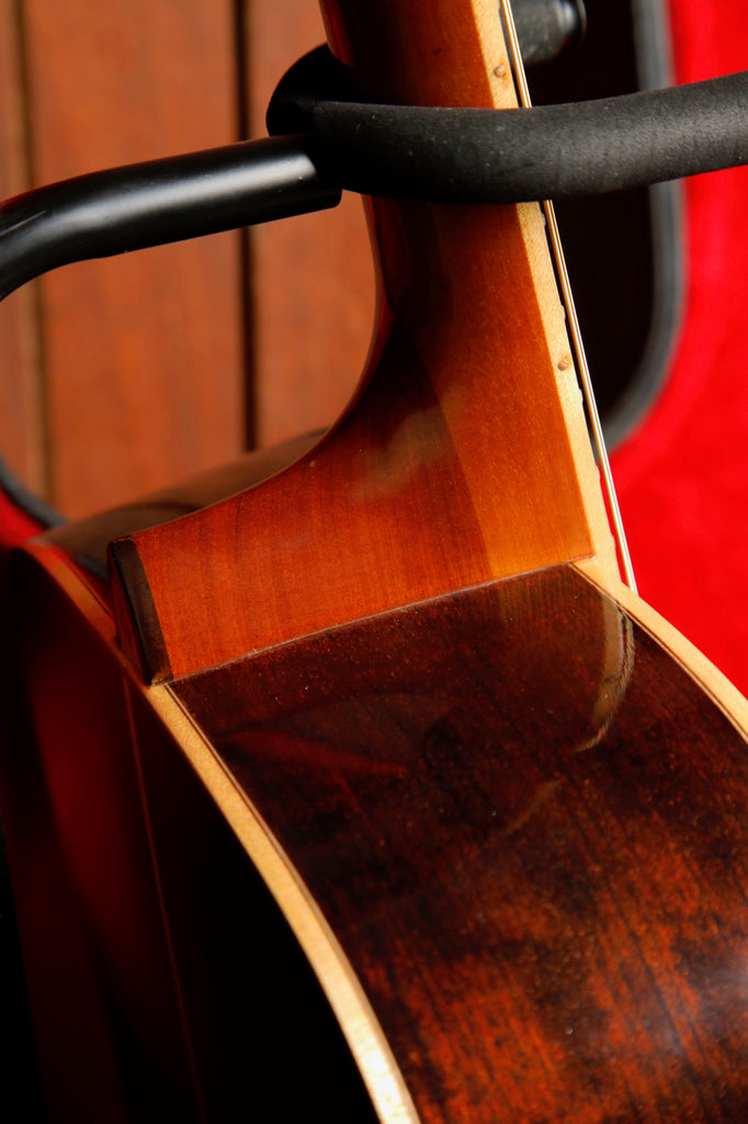 Daion The '80 12-String Acoustic Guitar Vintage Made in Japan Pre-Owned