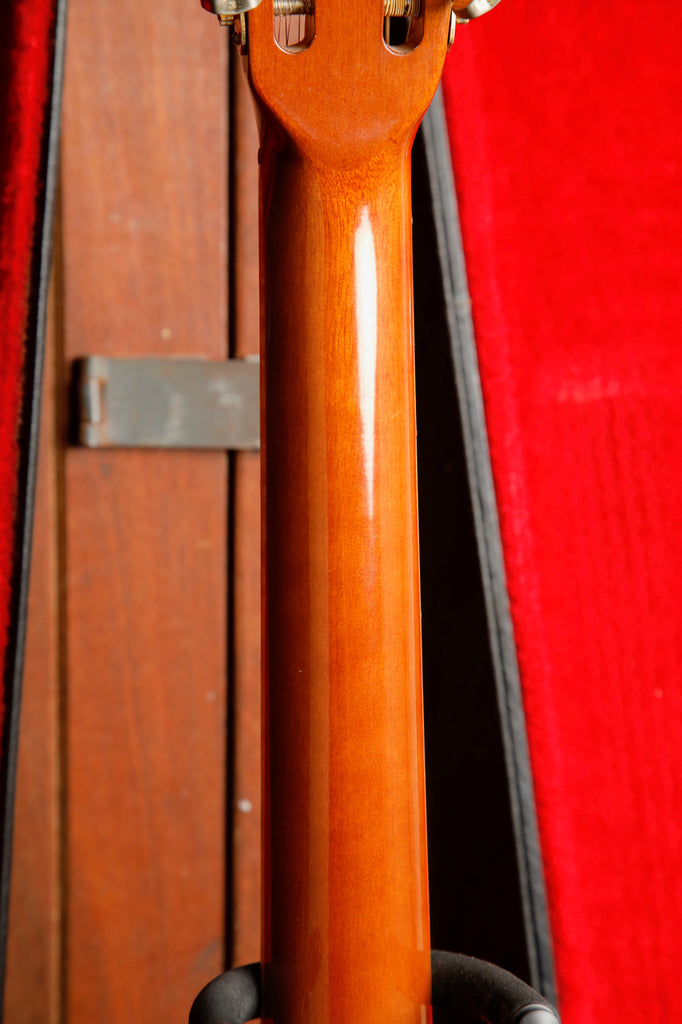 Daion The '80 12-String Acoustic Guitar Vintage Made in Japan Pre-Owned