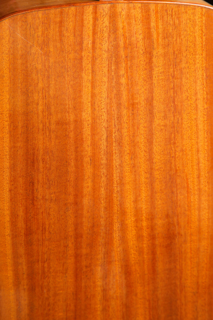 Cordoba D9 Dreadnought Acoustic Guitar w/Case Pre-Owned