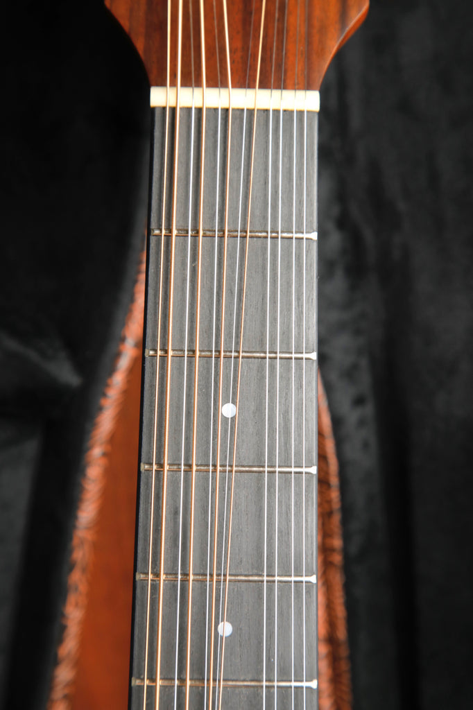 Timberidge Messenger Series Mahogany 12-String Acoustic-Electric Guitar Pre-Owned