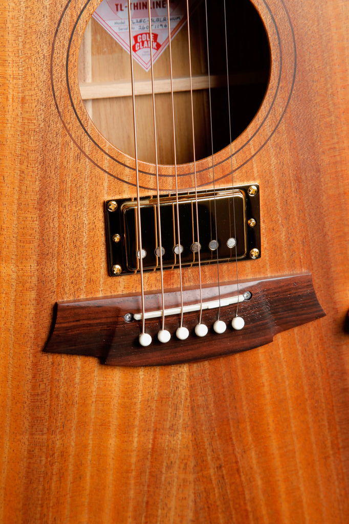 Cole Clark TL2EC-BLBLR-HUM All Blackwood Thinline Acoustic-Electric Guitar