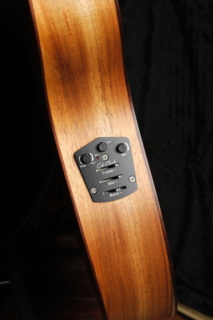 Cole Clark TL2EC-BLBLR-HUM All Blackwood Thinline Acoustic-Electric Guitar