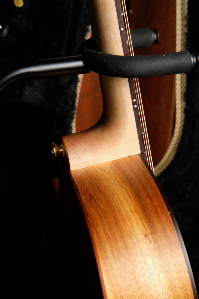 Cole Clark TL2EC-BLBLR-HUM All Blackwood Thinline Acoustic-Electric Guitar