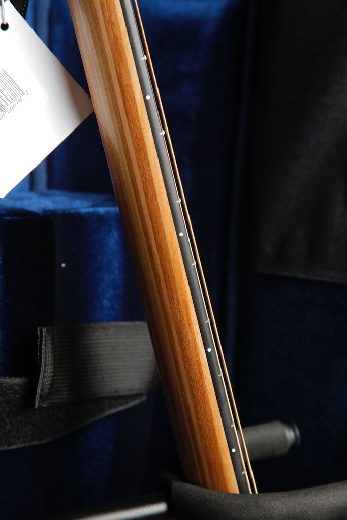 Martin DX1E Dreadnought Koa Acoustic-Electric Guitar