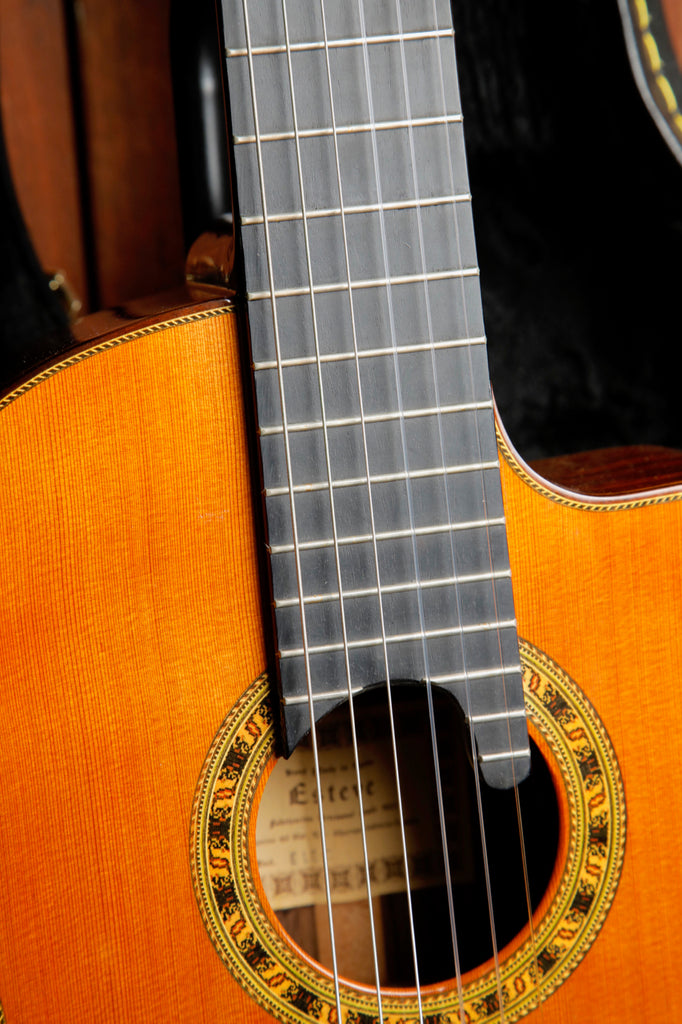 Esteve ELEC Cedar/Rosewood Classical Acoustic-Electric Guitar Pre-Owned