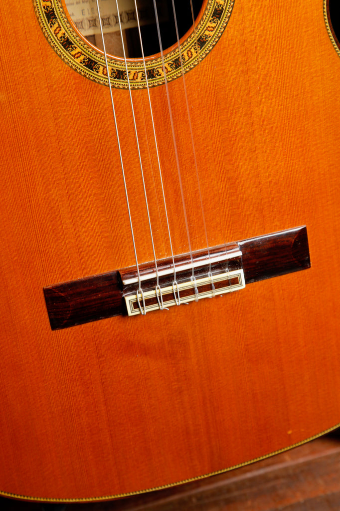 Esteve ELEC Cedar/Rosewood Classical Acoustic-Electric Guitar Pre-Owned