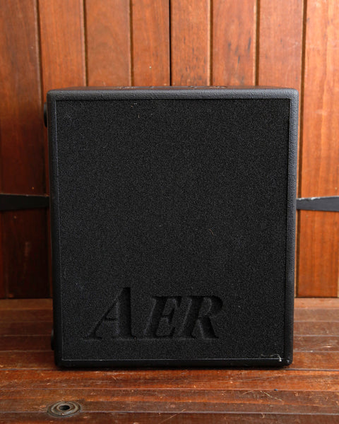 AER Domino 2 100-Watt Acoustic Guitar & Instrument Amplifier Pre-Owned