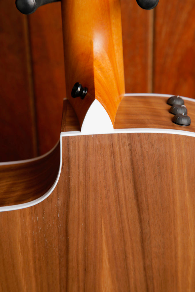 Taylor 214ce Dreadnought Acoustic-Electric Guitar