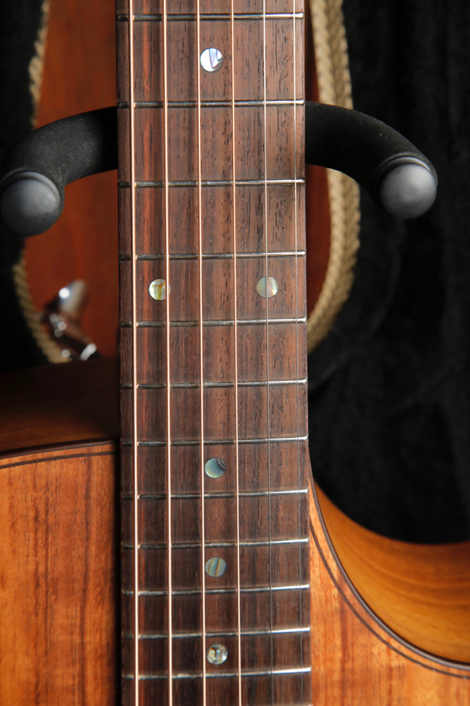 Cole Clark AN2EC-BLBLR Blackwood/Blackwood Rosewood Acoustic-Electric Guitar