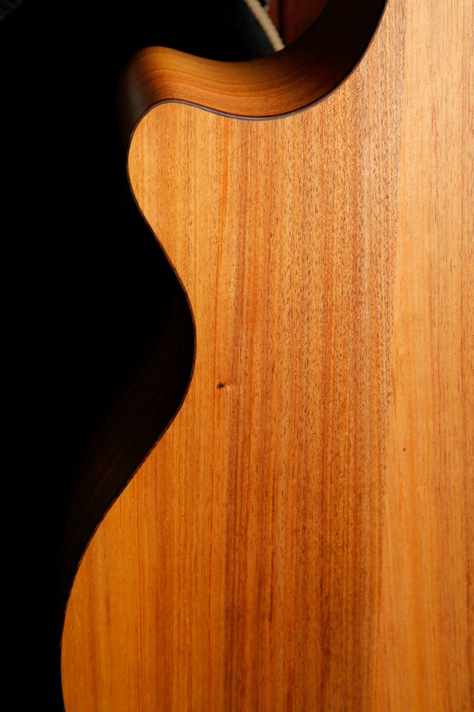 Cole Clark AN2EC-BLBLR Blackwood/Blackwood Rosewood Acoustic-Electric Guitar