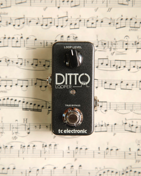 TC Electronic Ditto Looper Pedal Pre-Owned