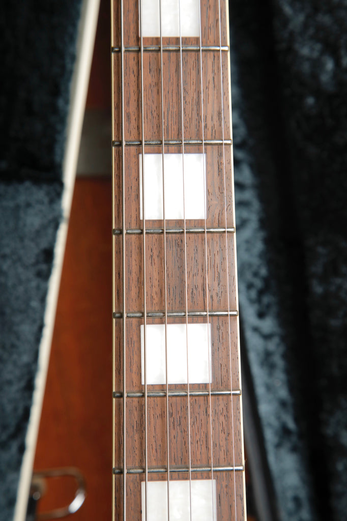 King Snake Three Bone Hollowbody Electric Guitar