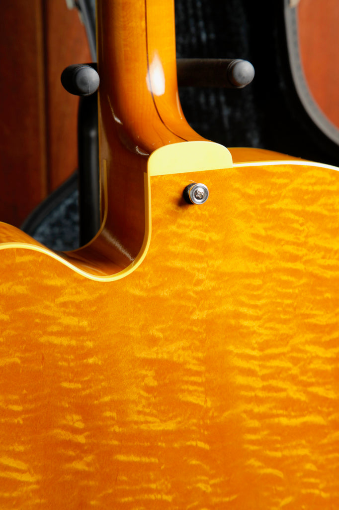 King Snake Three Bone Hollowbody Electric Guitar