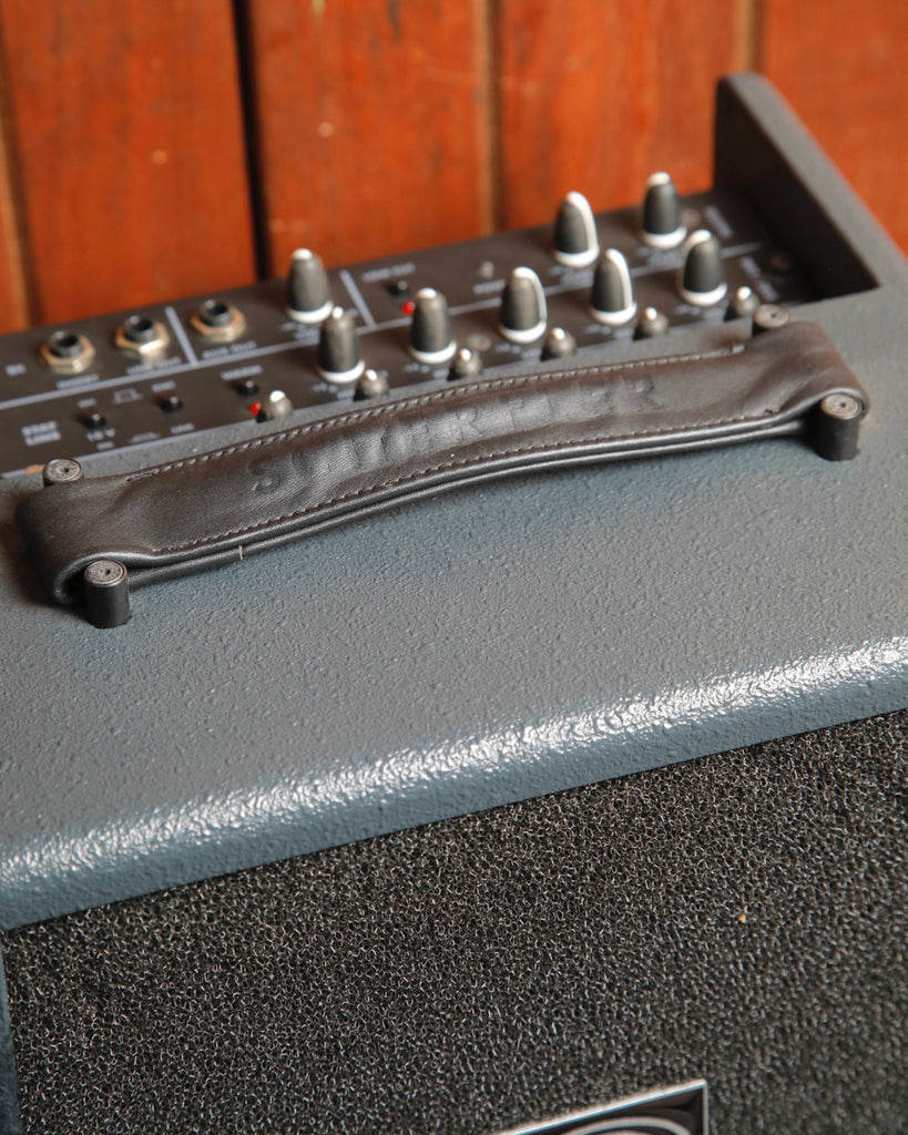 Schertler David Classic 100-Watt Acoustic Amplifier Pre-Owned