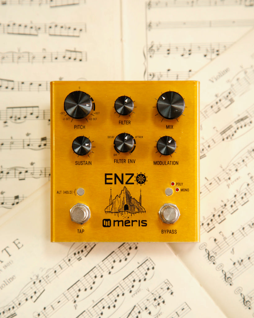 Meris Enzo Multi-Voice Synthesizer Pedal Pre-Owned