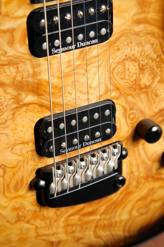 Parker Custom Shop Limited Edition 2008 Fly Mojo RFOTOAB 4 Seasons (Fall) #23 of 25 Electric Guitar Pre-Owned