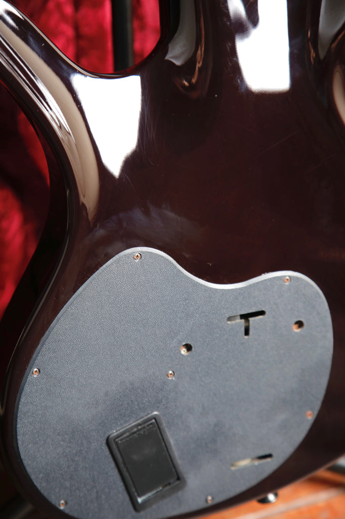 Parker Custom Shop Limited Edition 2008 Fly Mojo RFOTOAB 4 Seasons (Fall) #23 of 25 Electric Guitar Pre-Owned