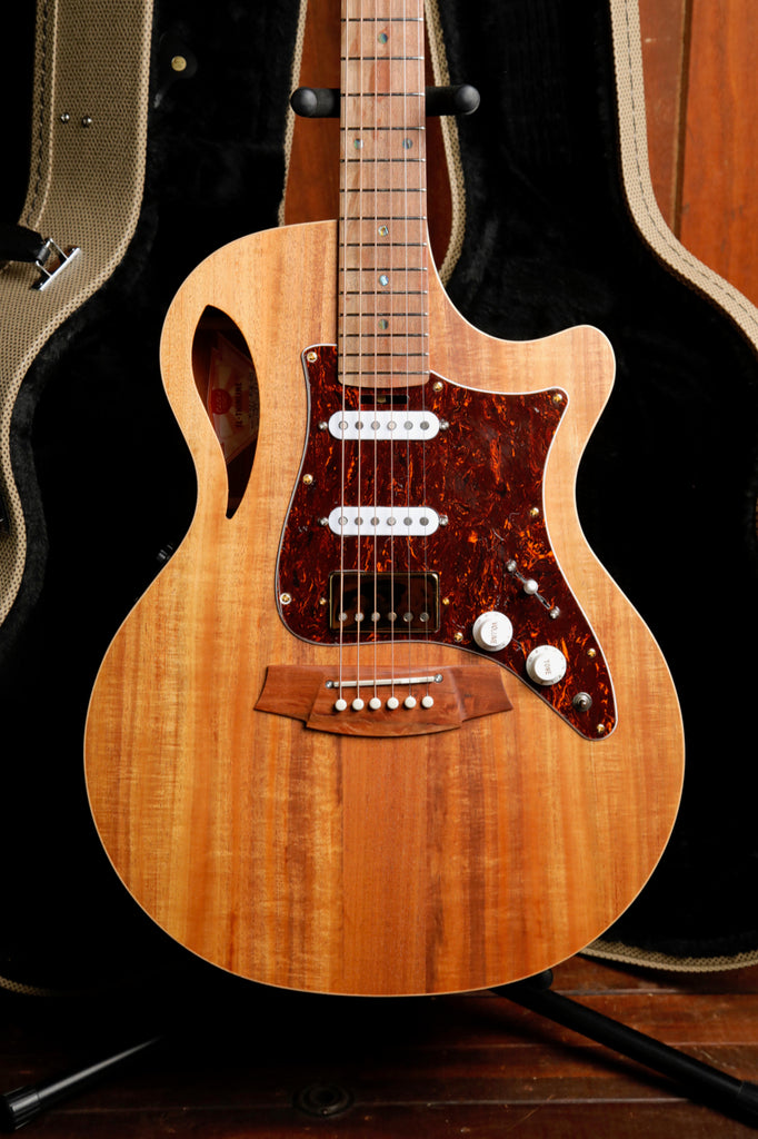 Cole Clark TL2EC-BLBL-HSS Blackwood/Blackwood Dual-Output Guitar