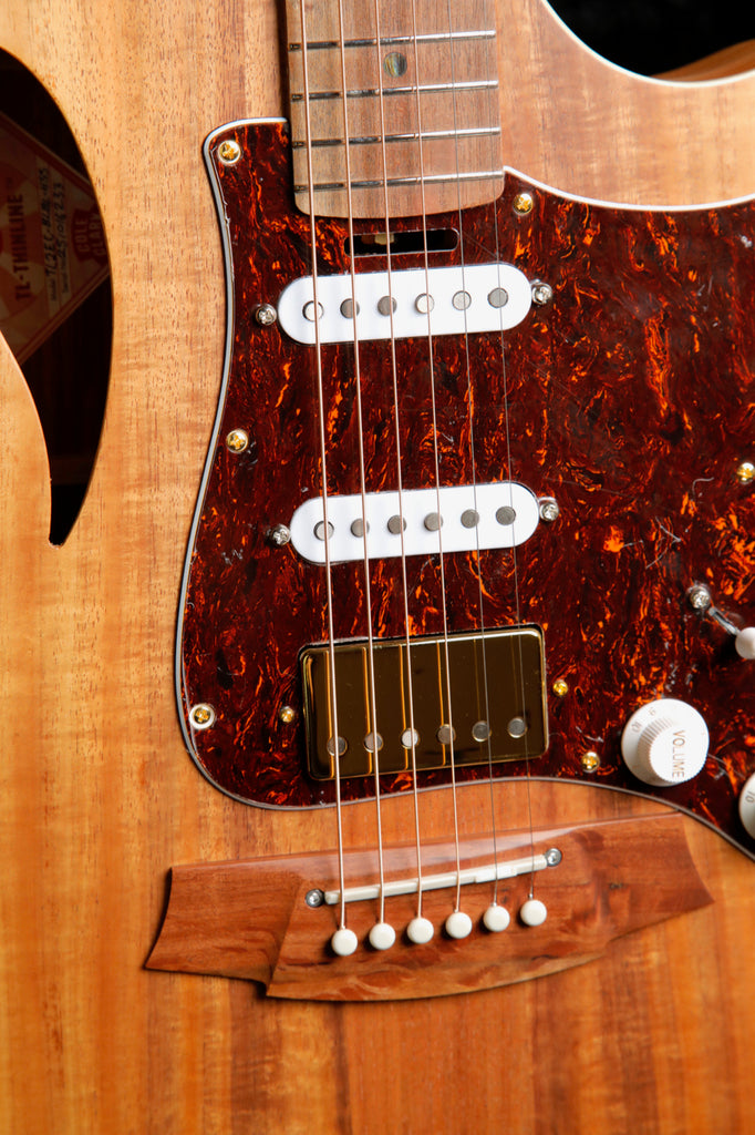 Cole Clark TL2EC-BLBL-HSS Blackwood/Blackwood Dual-Output Guitar