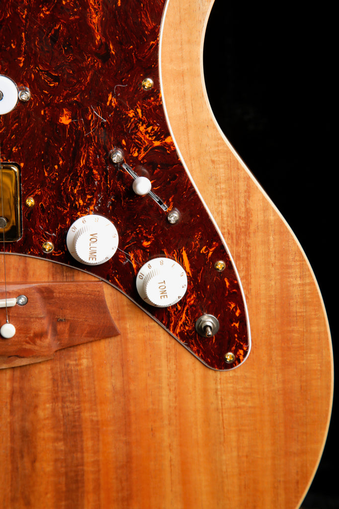 Cole Clark TL2EC-BLBL-HSS Blackwood/Blackwood Dual-Output Guitar