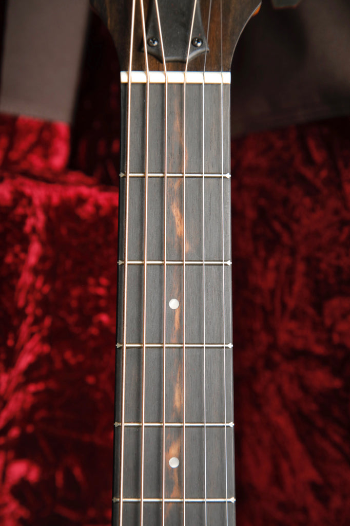 Taylor 214ce Plus Grand Auditorium Acoustic-Electric Guitar