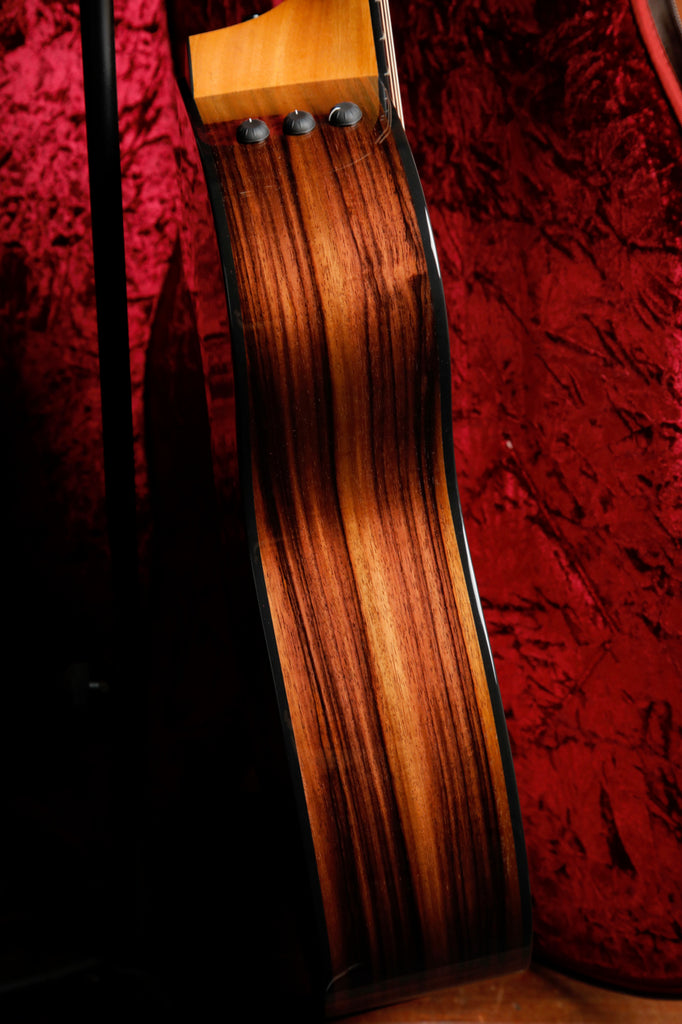 Taylor 214ce Plus Grand Auditorium Acoustic-Electric Guitar