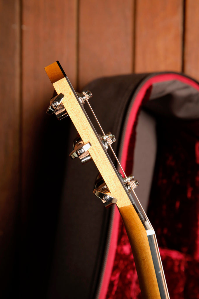 Taylor 214ce Plus Grand Auditorium Acoustic-Electric Guitar