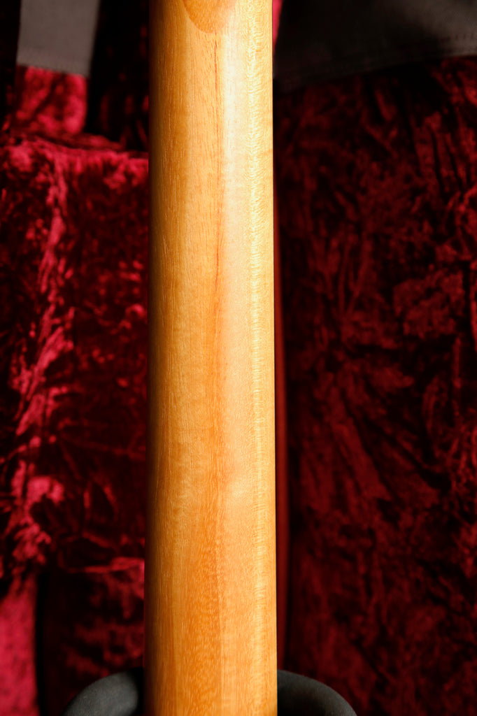 Taylor 214ce Plus Grand Auditorium Acoustic-Electric Guitar