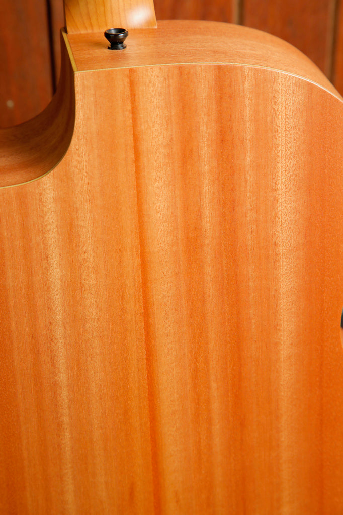 Taylor 24ce Grand Auditorium Acoustic-Electric Guitar