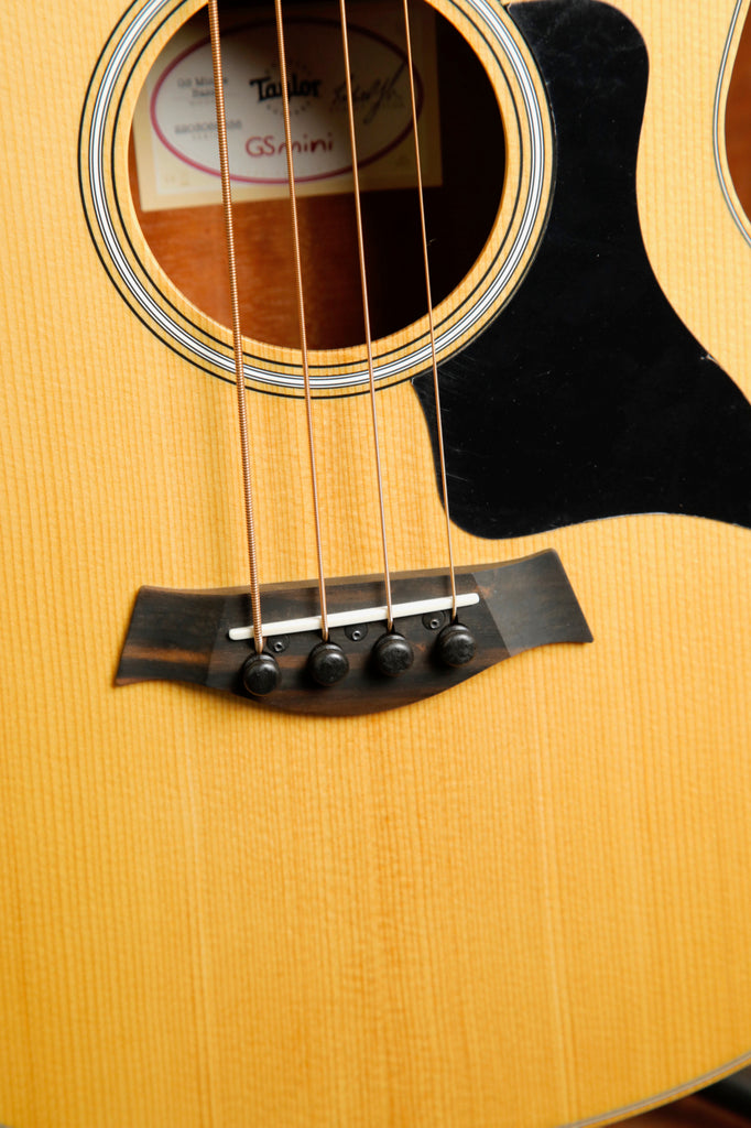 Taylor GS Mini-e Acoustic-Electric Bass