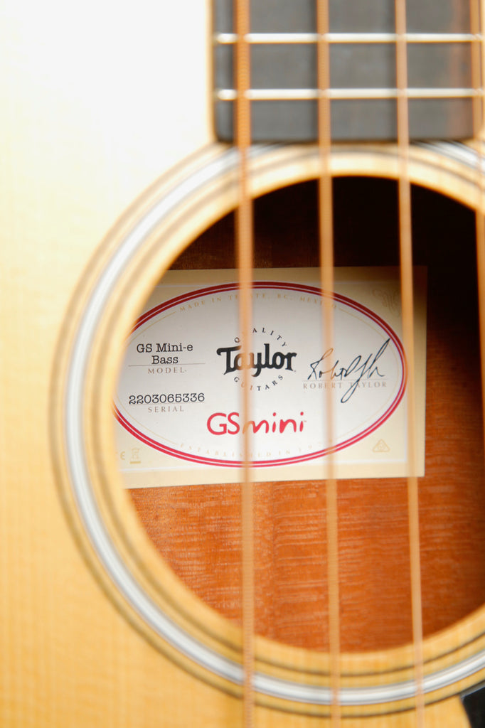 Taylor GS Mini-e Acoustic-Electric Bass