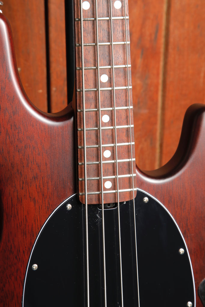 Sterling By Music Man Ray 4H Walnut Satin Bass Guitar Pre-Owned