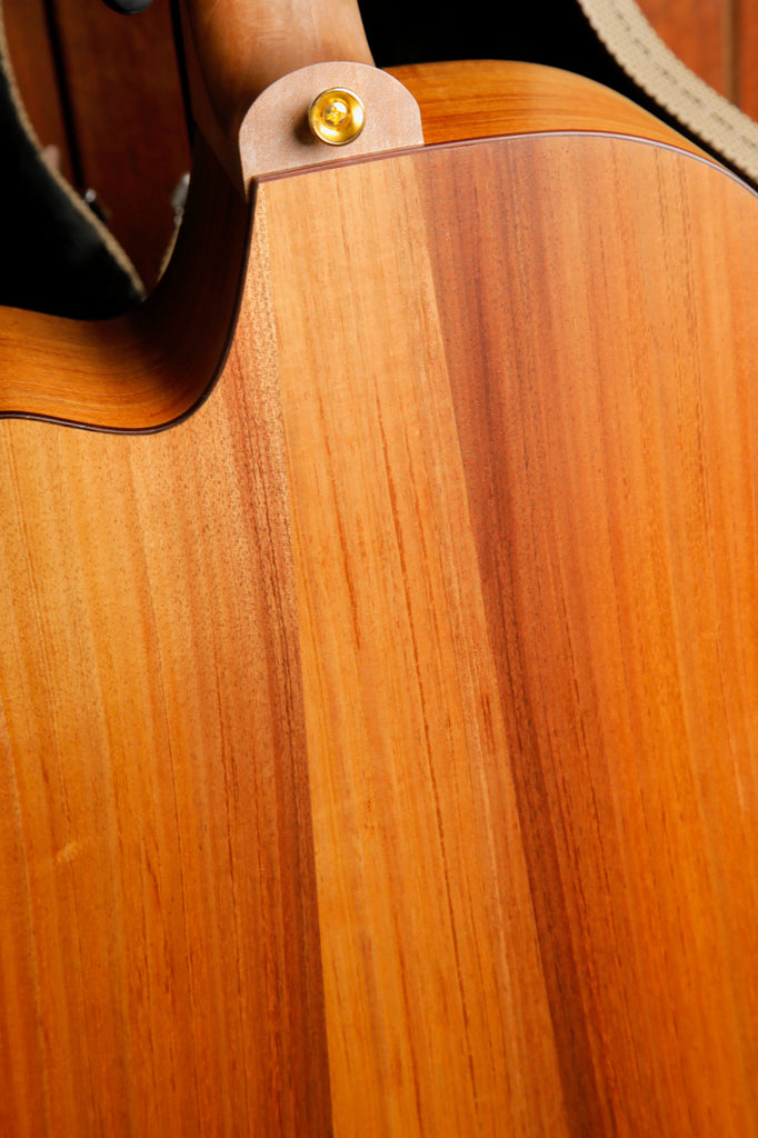 Cole Clark FL2EC Blackwood / Blackwood Acoustic-Electric Guitar