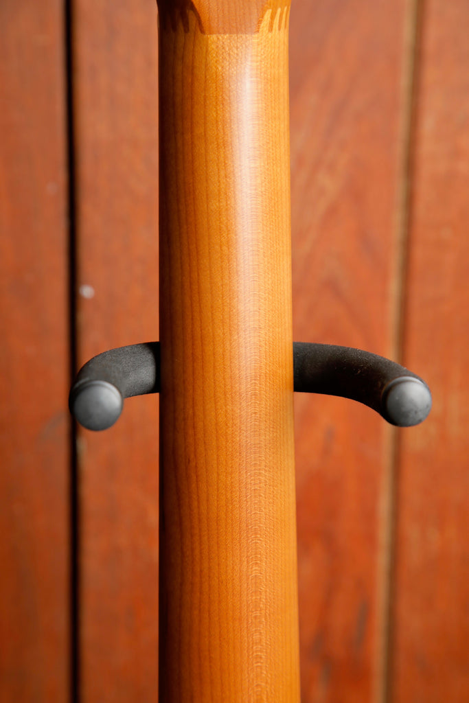 Taylor Baby Taylor BT1 Layered Walnut Travel Acoustic Guitar