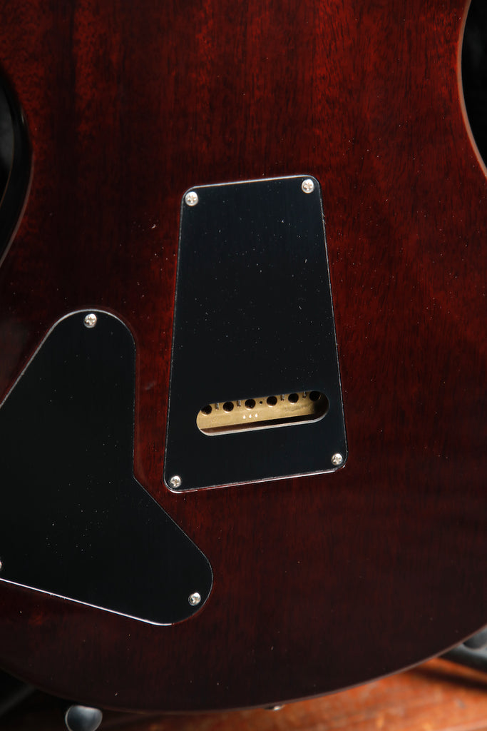 PRS DGT Birds Gold Top Electric Guitar