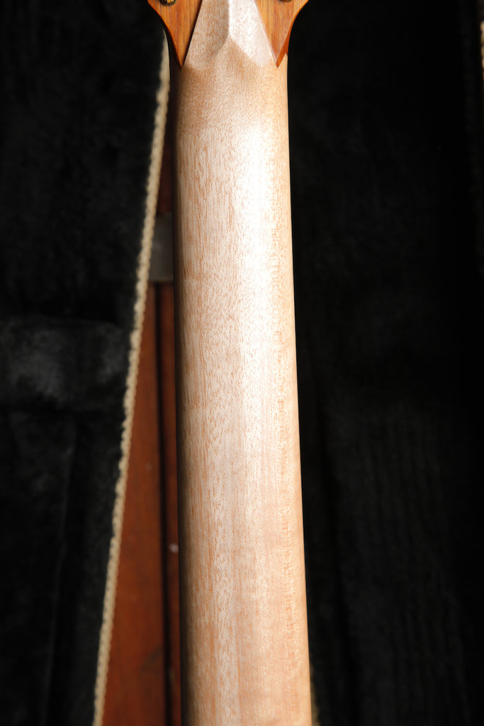 Cole Clark AN2EC-BBR Bunya/Blackwood Rosewood Acoustic-Electric Guitar