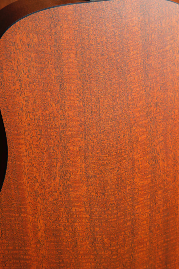 Martin D-X2E Molly Tuttle Dreadnought Acoustic-Electric Guitar