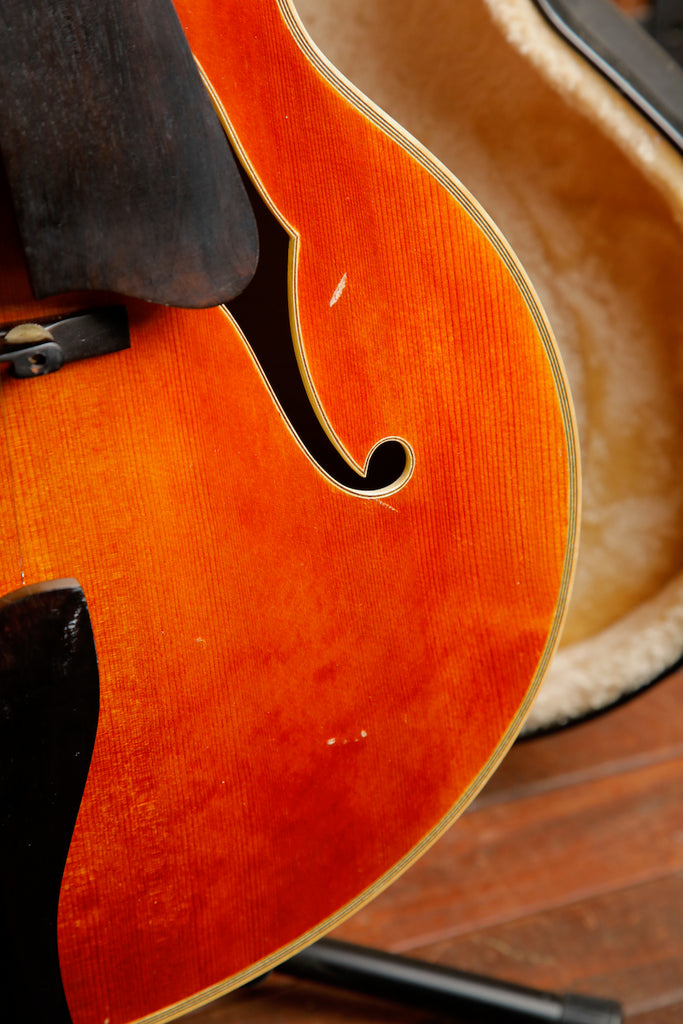 Yunzhi 17" Archtop Hollowbody Electric Guitar Pre-Owned