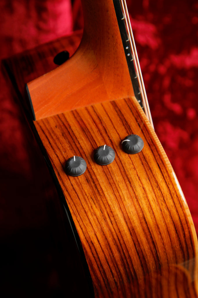 Taylor GS Mini-e Rosewood Plus Acoustic-Electric Guitar
