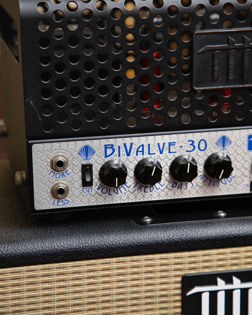 THD BiValve-30 30-Watt Valve Amplifier Head Pre-Owned