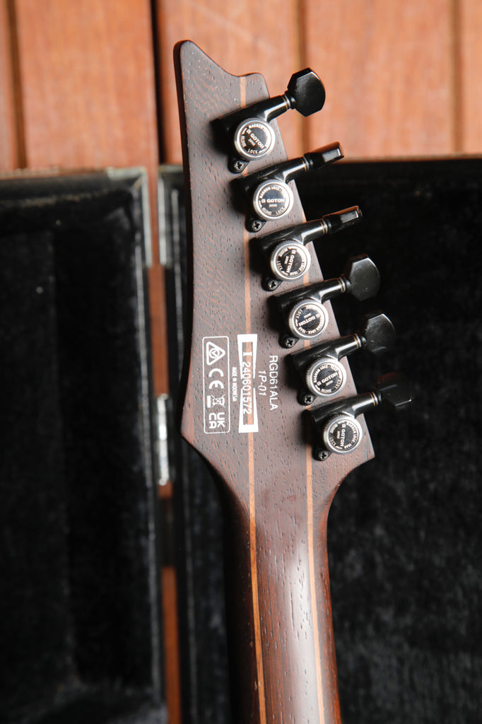Ibanez RGD61ALA Midnight Tropical Rainforest Electric Guitar Pre-Owned