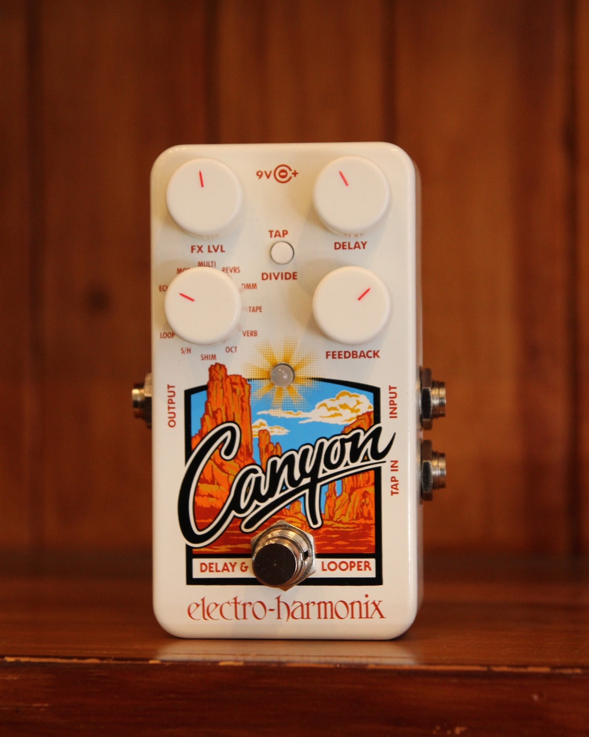 canyon delay and looper pedal Electro-Harmonix Canyon Delay and Looper Pedal