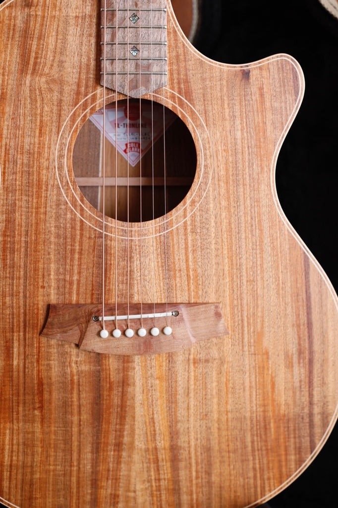 Cole Clark TL2EC All Blackwood Thinline Cutaway Acoustic-Electric Guitar